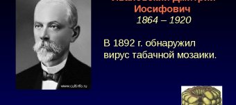 Готовое Домашнее Задание по Английскому